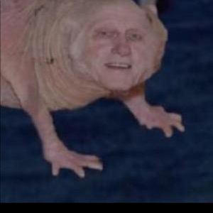 Meet your Posher, Kaylee